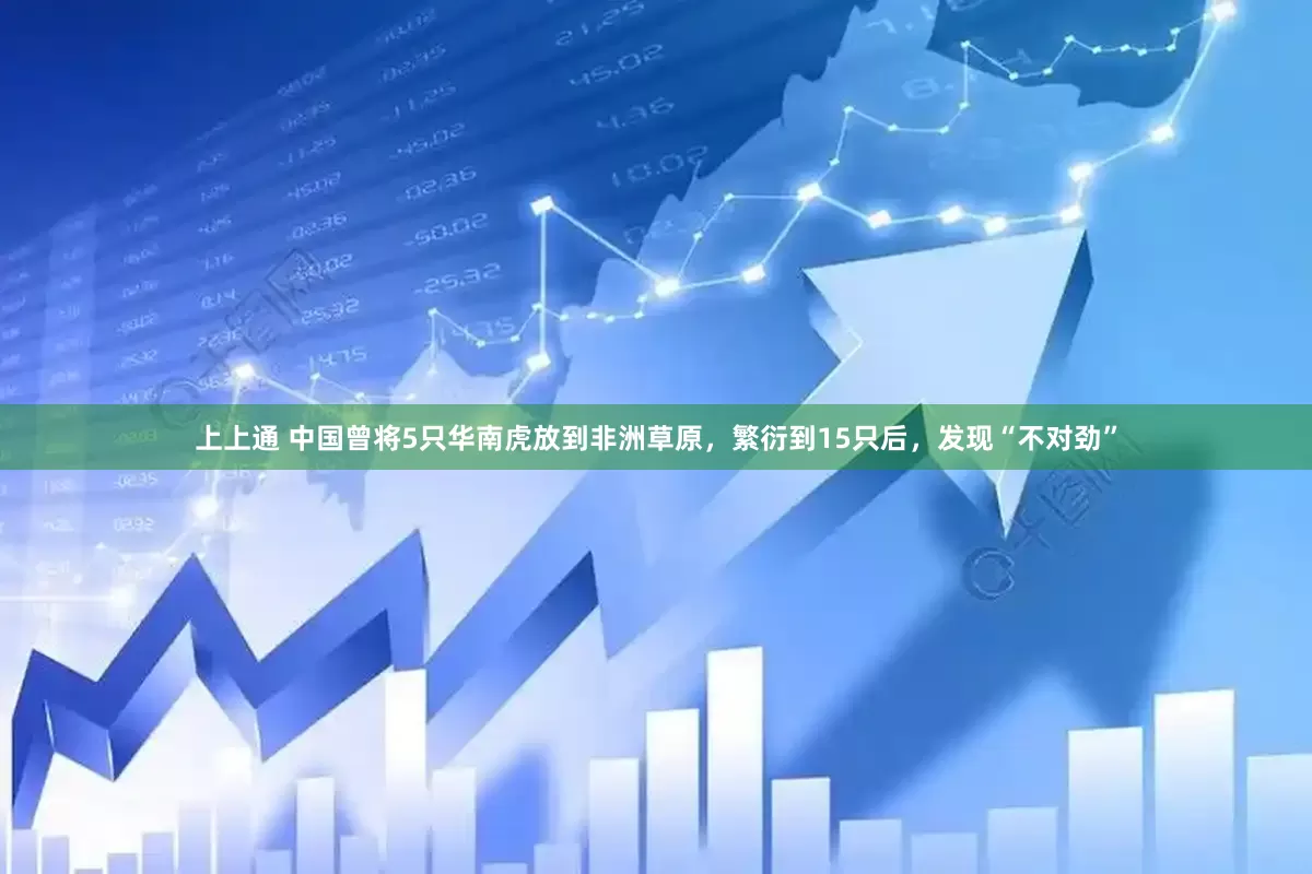 上上通 中国曾将5只华南虎放到非洲草原，繁衍到15只后，发现“不对劲”
